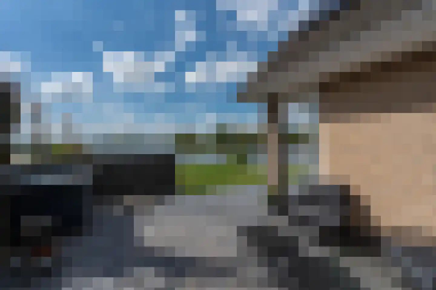 Knobbelzwaan 23 Wildervank thumbnail 45