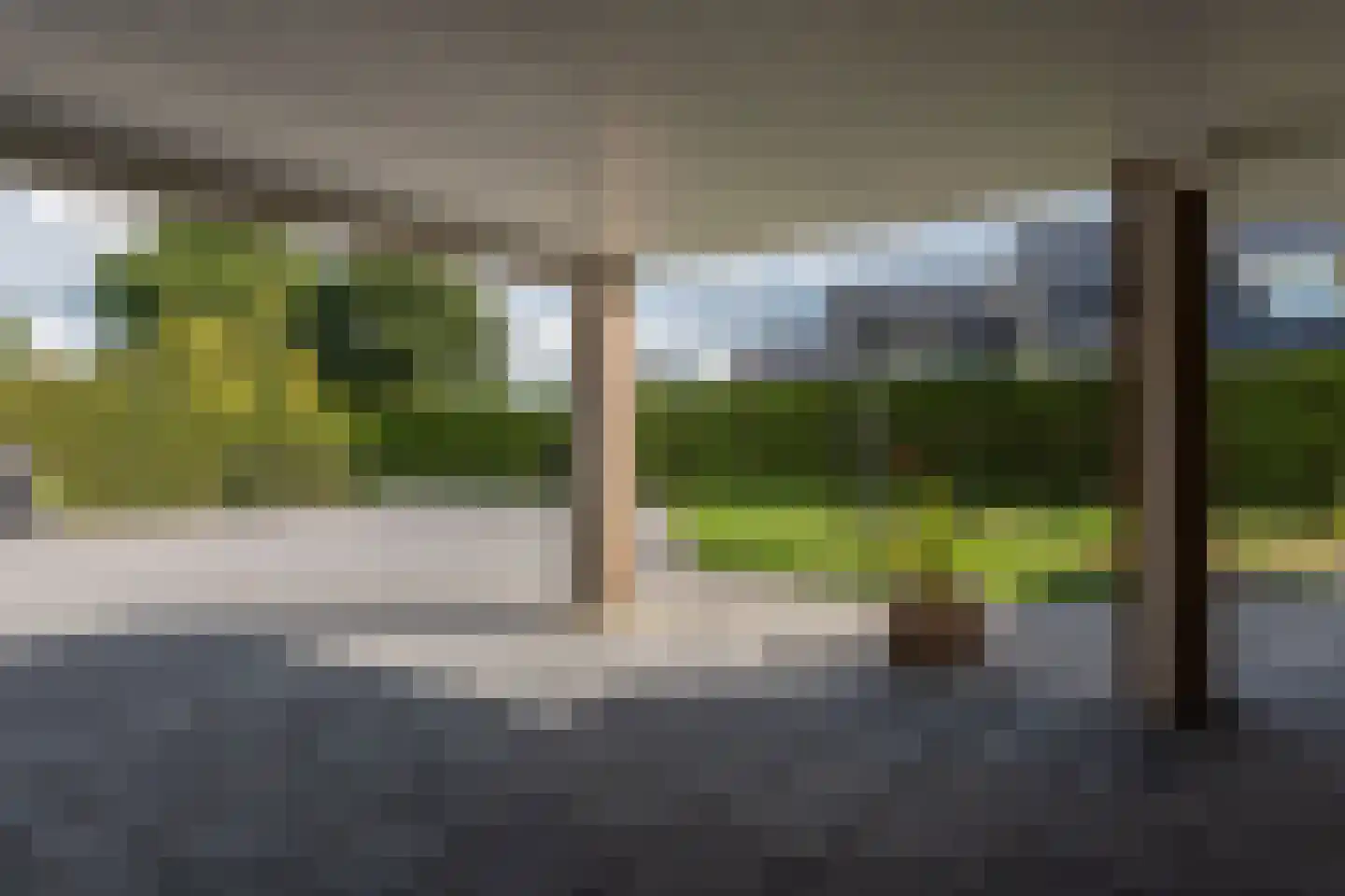 Knobbelzwaan 23 Wildervank thumbnail 48
