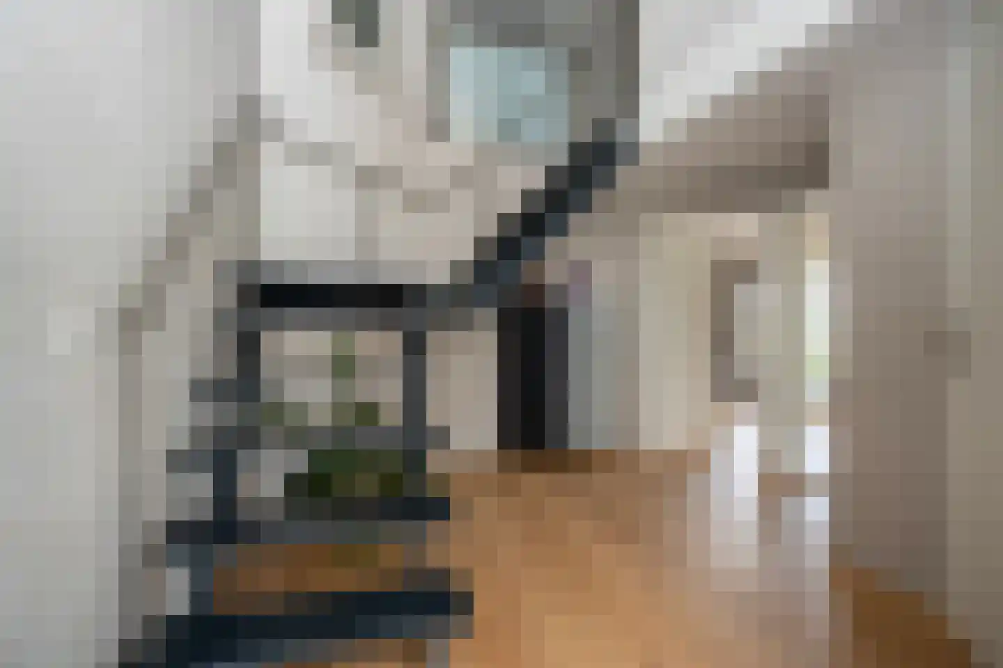 Knobbelzwaan 23 Wildervank thumbnail 5