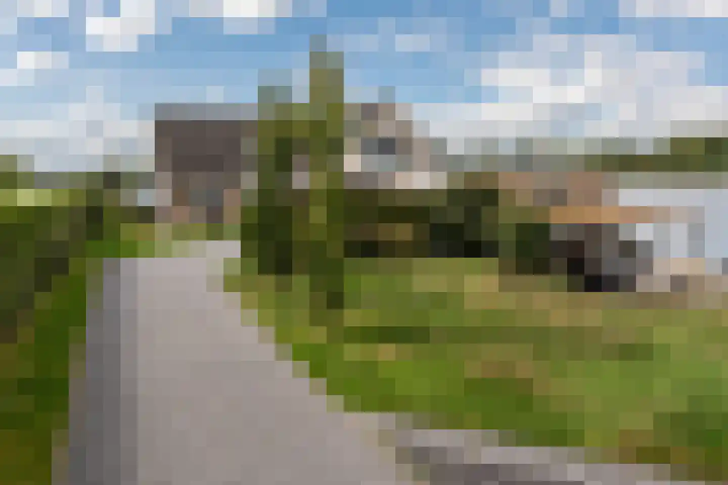 Knobbelzwaan 23 Wildervank thumbnail 50