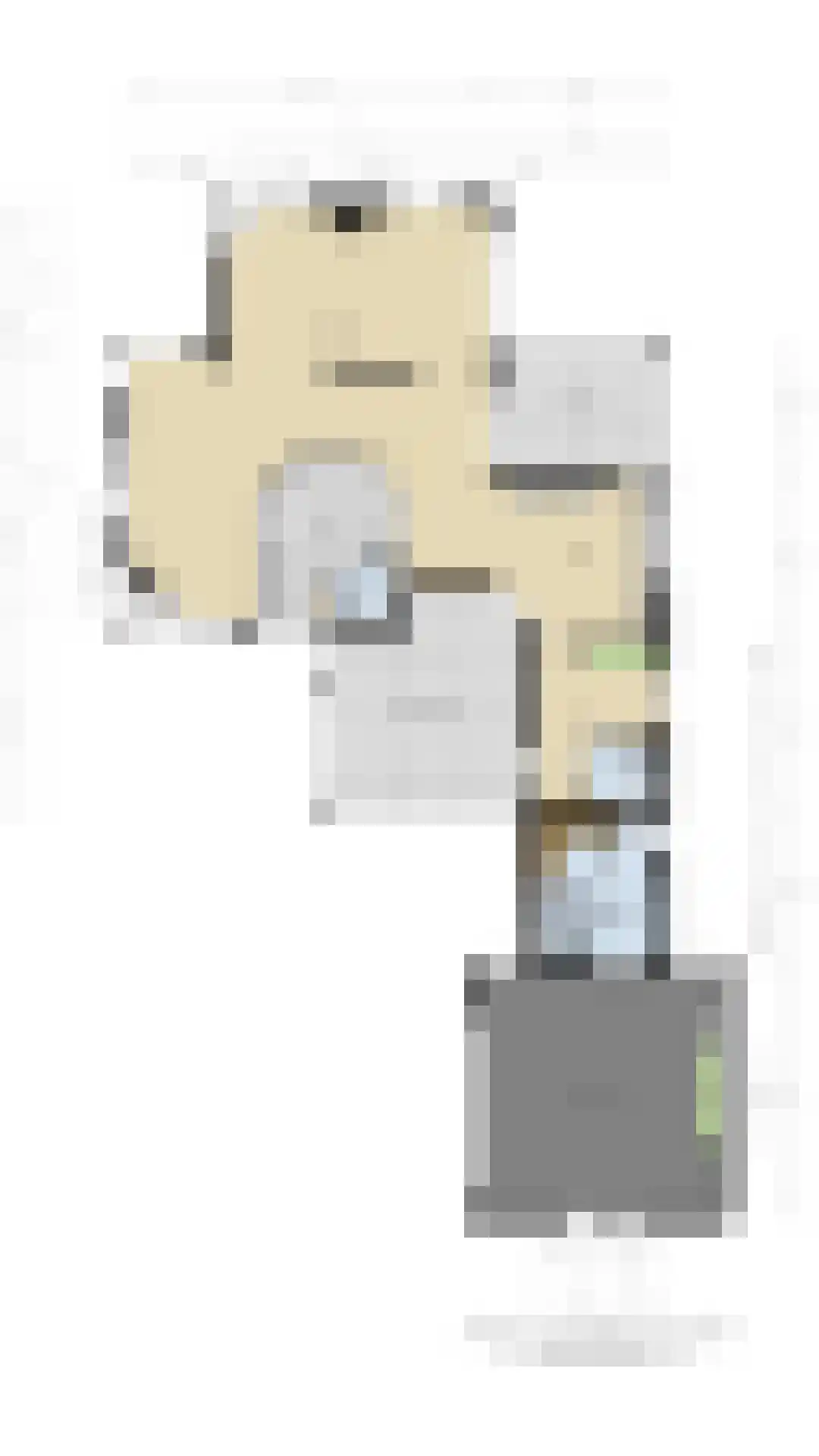 Knobbelzwaan 23 Wildervank thumbnail 54