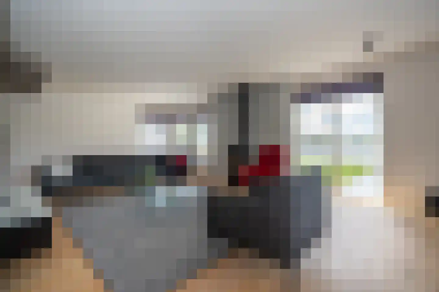 Knobbelzwaan 23 Wildervank thumbnail 6