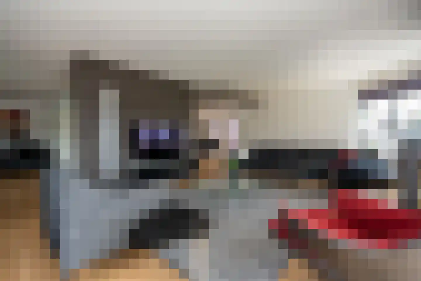 Knobbelzwaan 23 Wildervank thumbnail 7