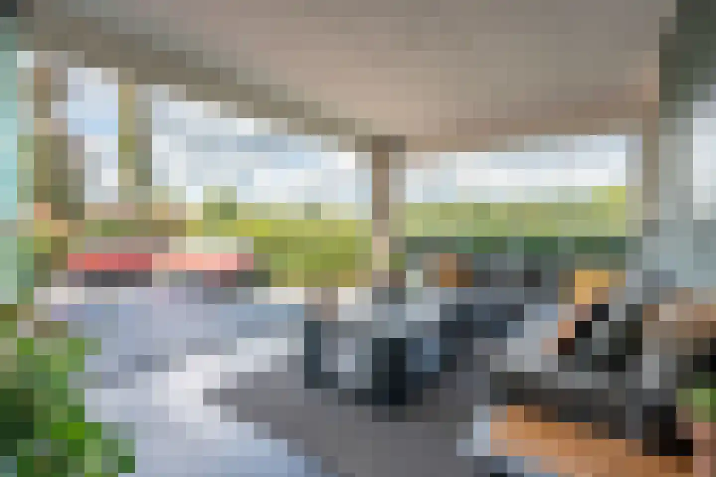 Knobbelzwaan 23 Wildervank thumbnail 9