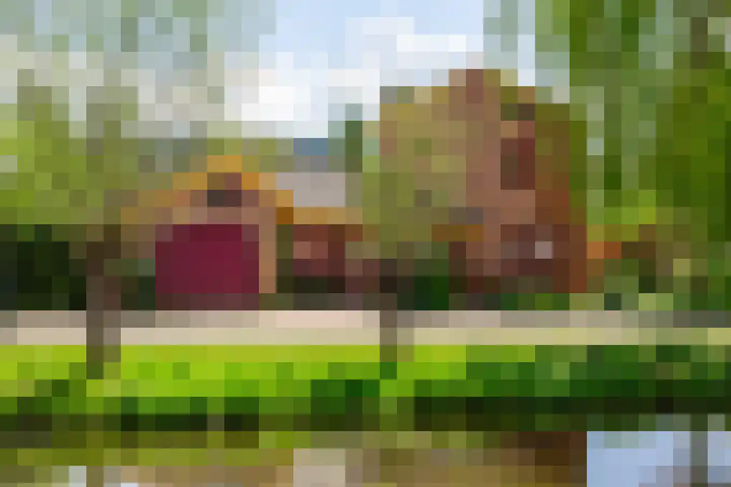 Knobbelzwaan 4 in Hardinxveld-Giessendam