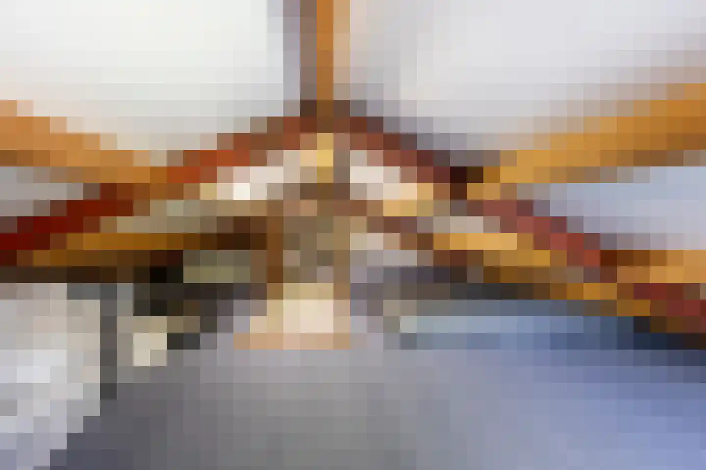 Knobbelzwaan 4 Hardinxveld-Giessendam thumbnail 26