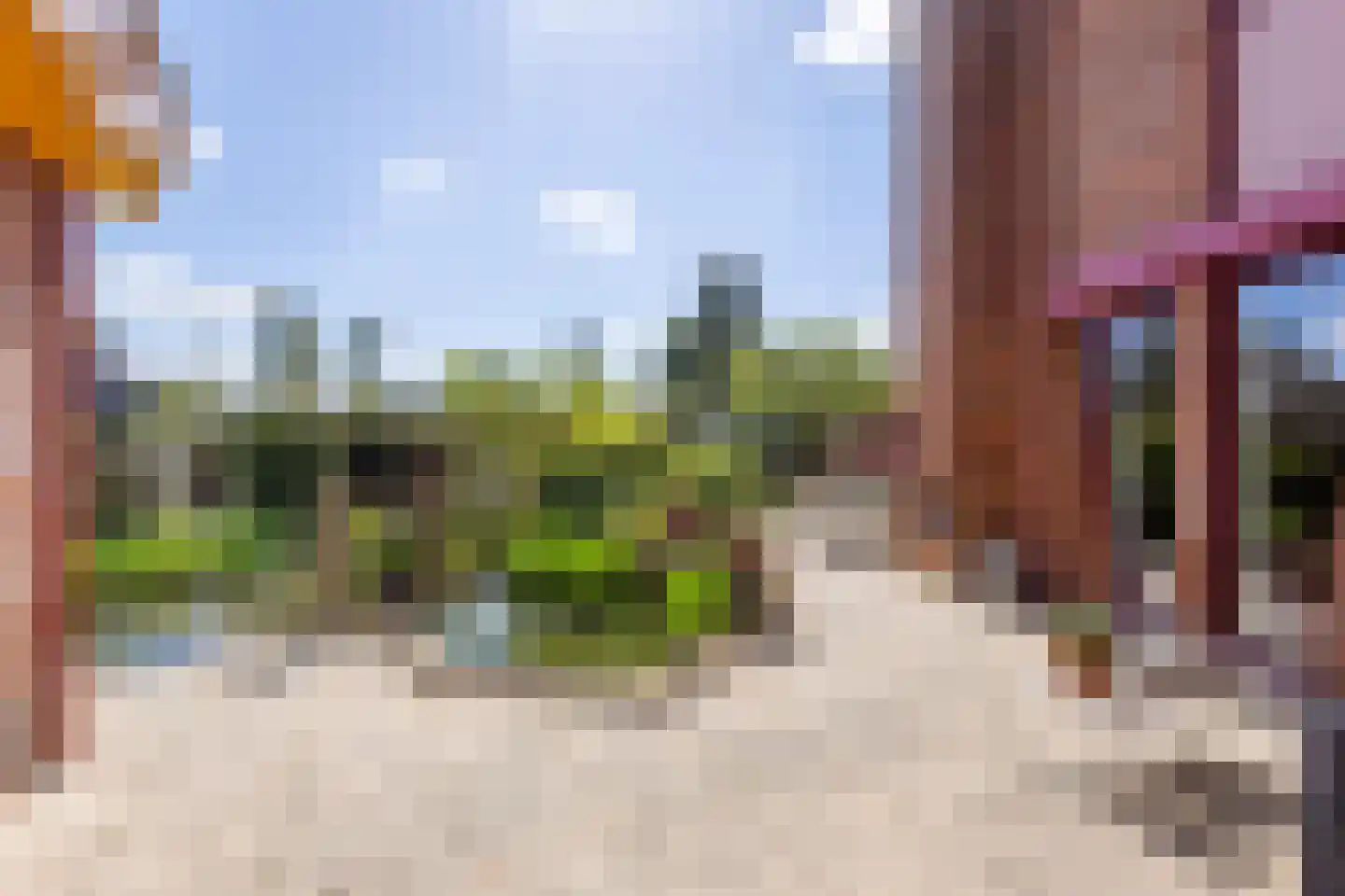 Knobbelzwaan 4 Hardinxveld-Giessendam thumbnail 27
