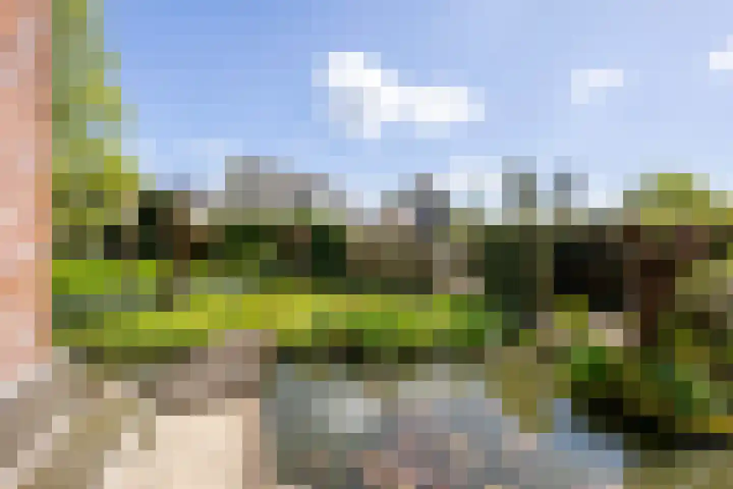 Knobbelzwaan 4 Hardinxveld-Giessendam thumbnail 28
