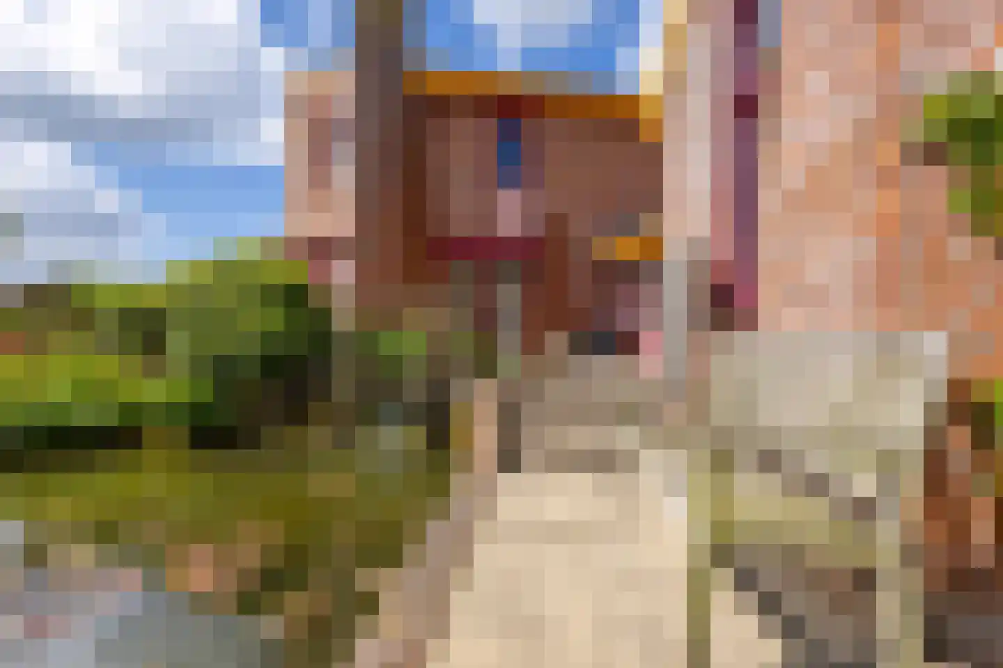 Knobbelzwaan 4 Hardinxveld-Giessendam thumbnail 30