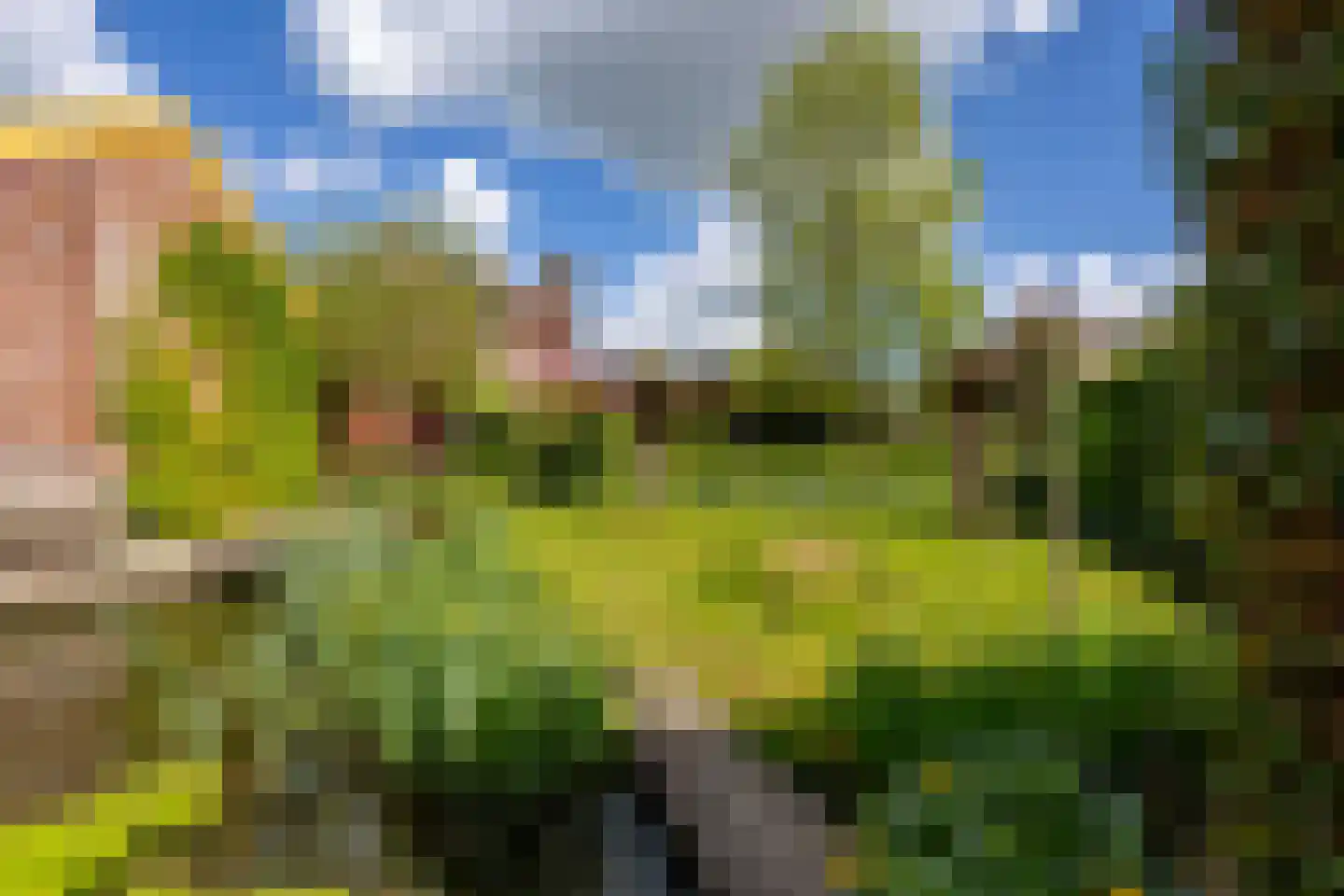 Knobbelzwaan 4 Hardinxveld-Giessendam thumbnail 31