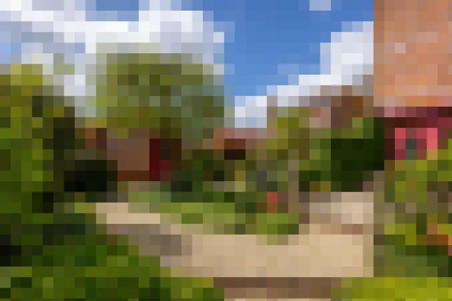 Knobbelzwaan 4 Hardinxveld-Giessendam thumbnail 32