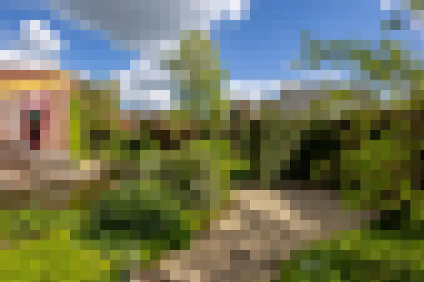 Knobbelzwaan 4 Hardinxveld-Giessendam thumbnail 33