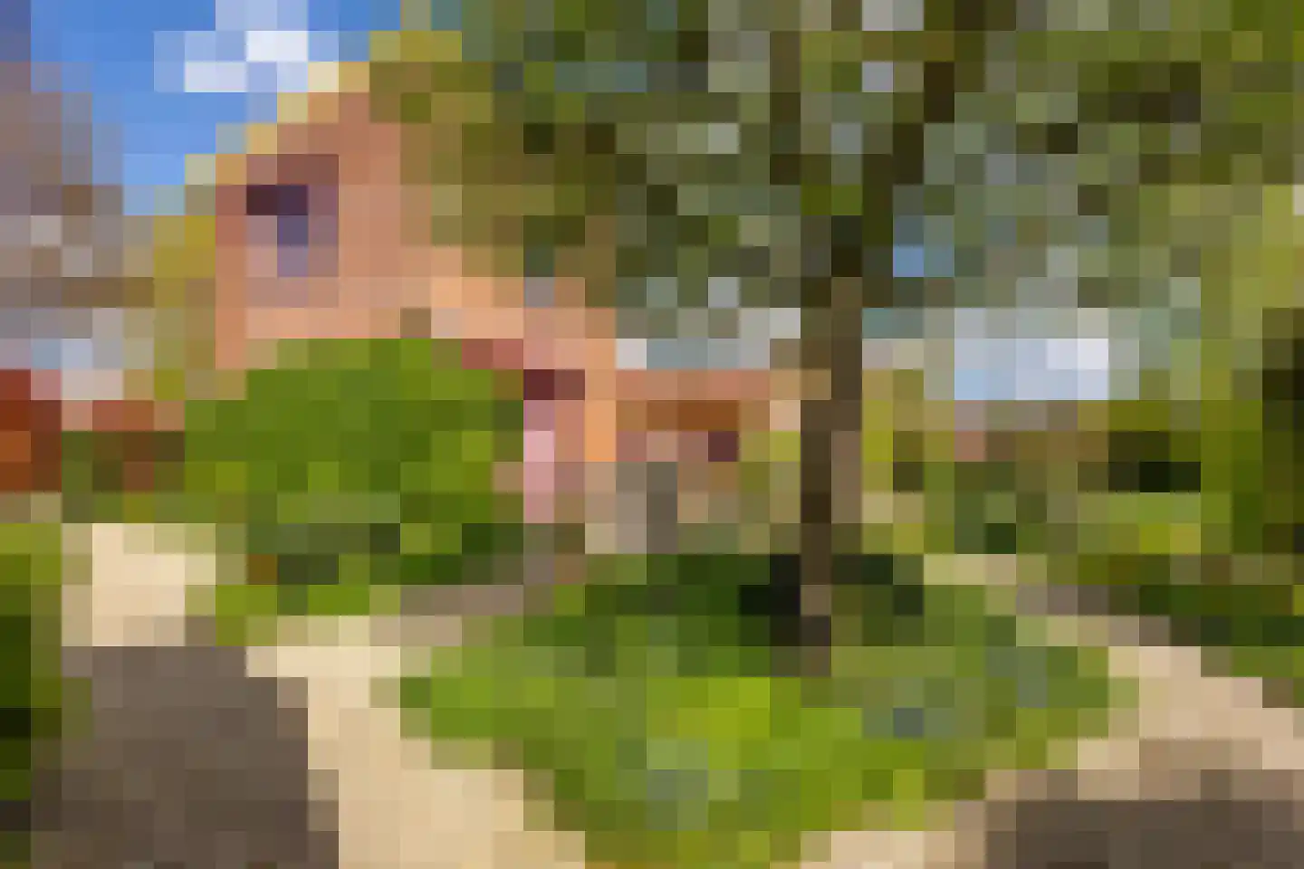 Knobbelzwaan 4 Hardinxveld-Giessendam thumbnail 35