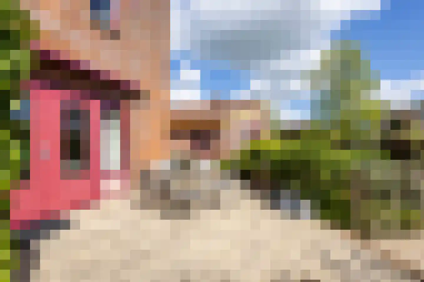 Knobbelzwaan 4 Hardinxveld-Giessendam thumbnail 36