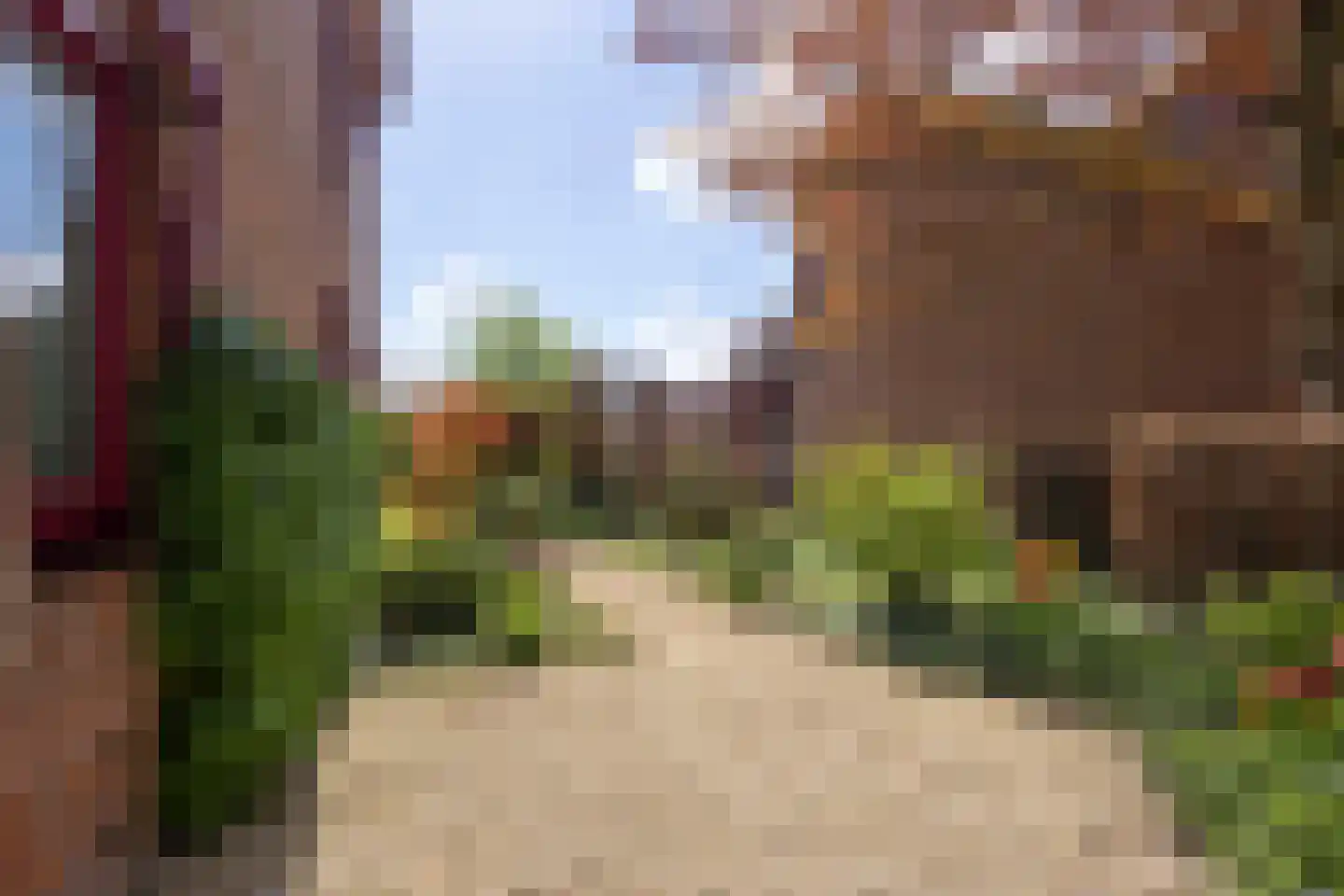 Knobbelzwaan 4 Hardinxveld-Giessendam thumbnail 37