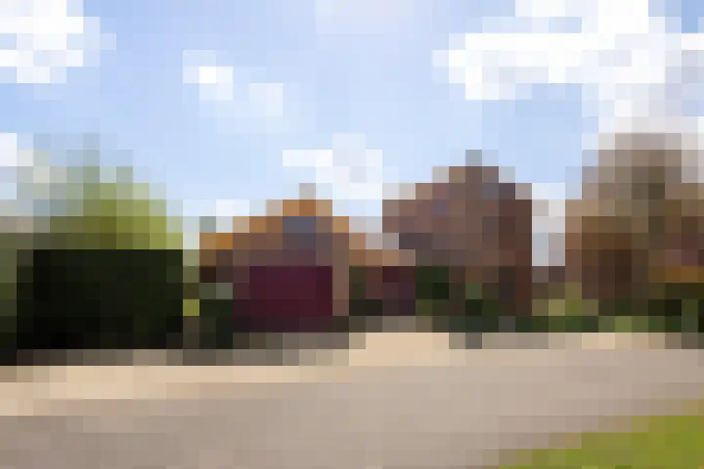 Knobbelzwaan 4 Hardinxveld-Giessendam thumbnail 38