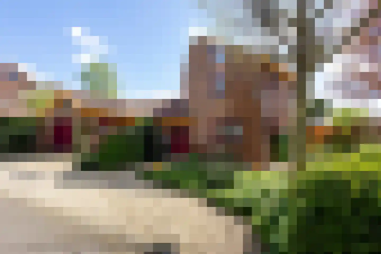 Knobbelzwaan 4 Hardinxveld-Giessendam thumbnail 39