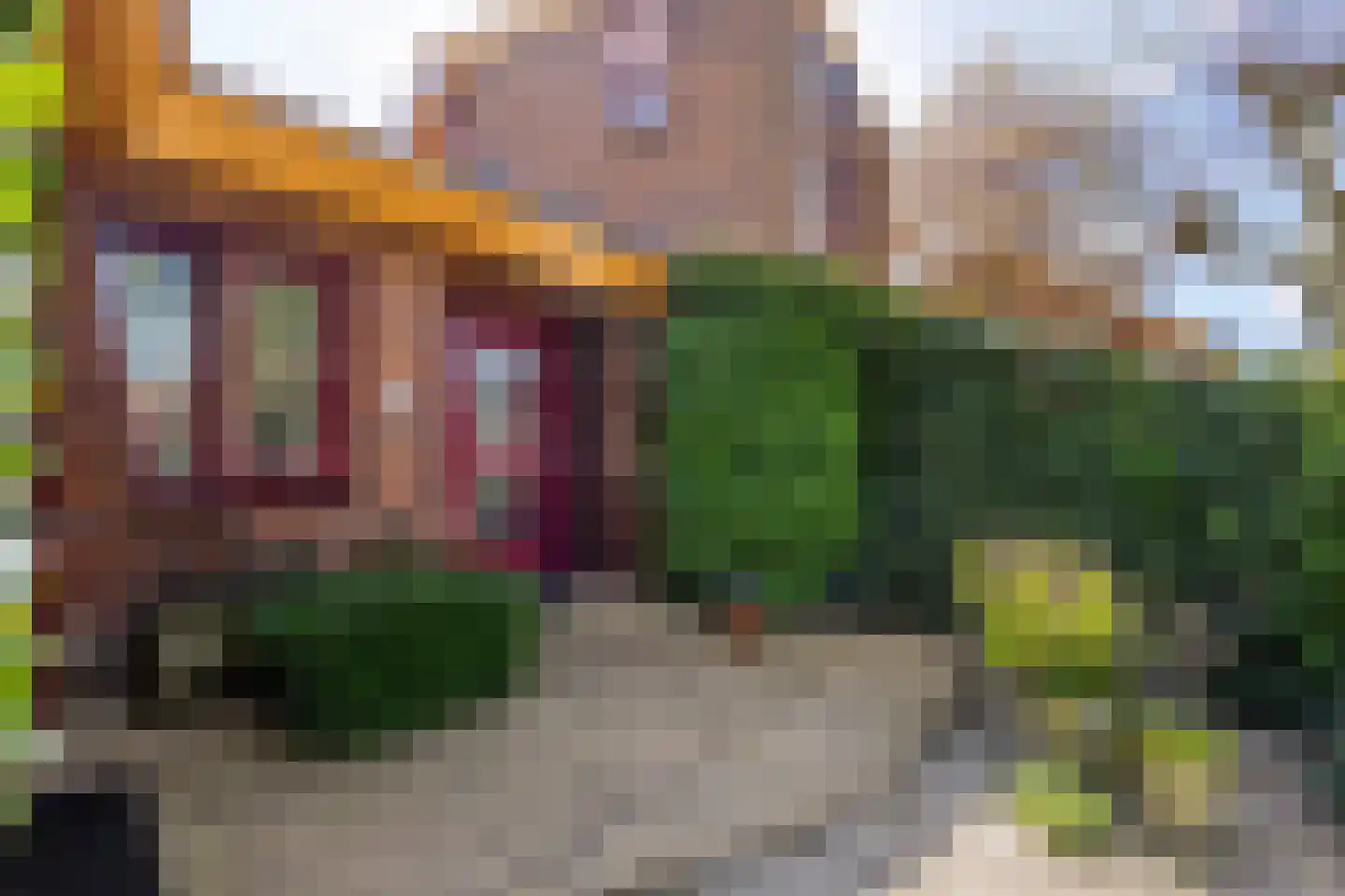 Knobbelzwaan 4 Hardinxveld-Giessendam thumbnail 40