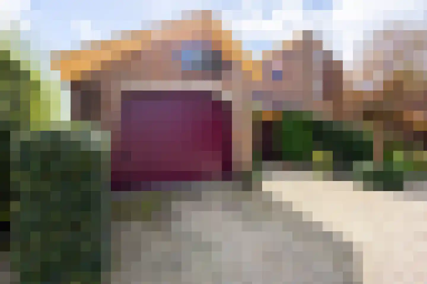 Knobbelzwaan 4 Hardinxveld-Giessendam thumbnail 41