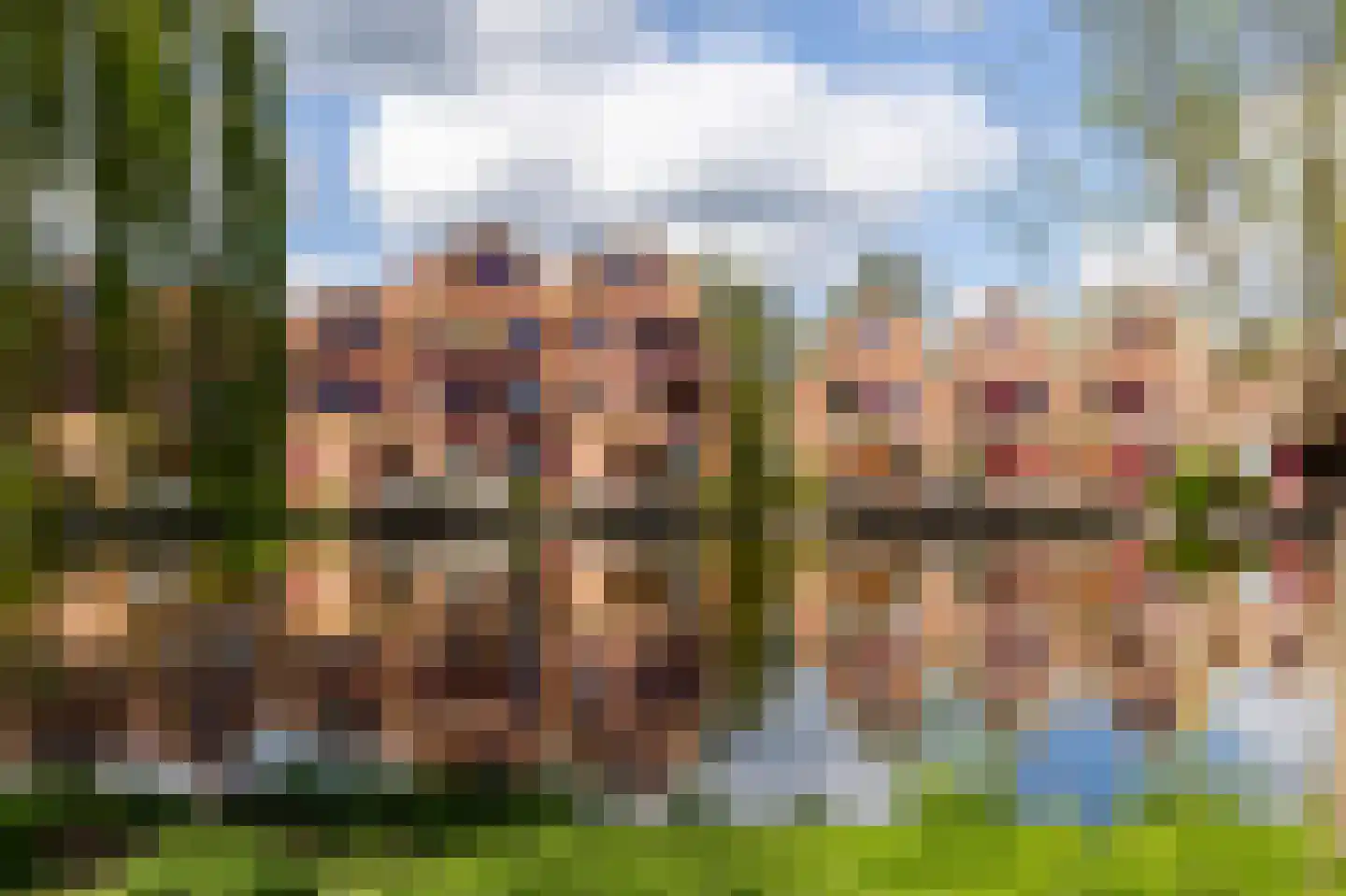 Knobbelzwaan 4 Hardinxveld-Giessendam thumbnail 42