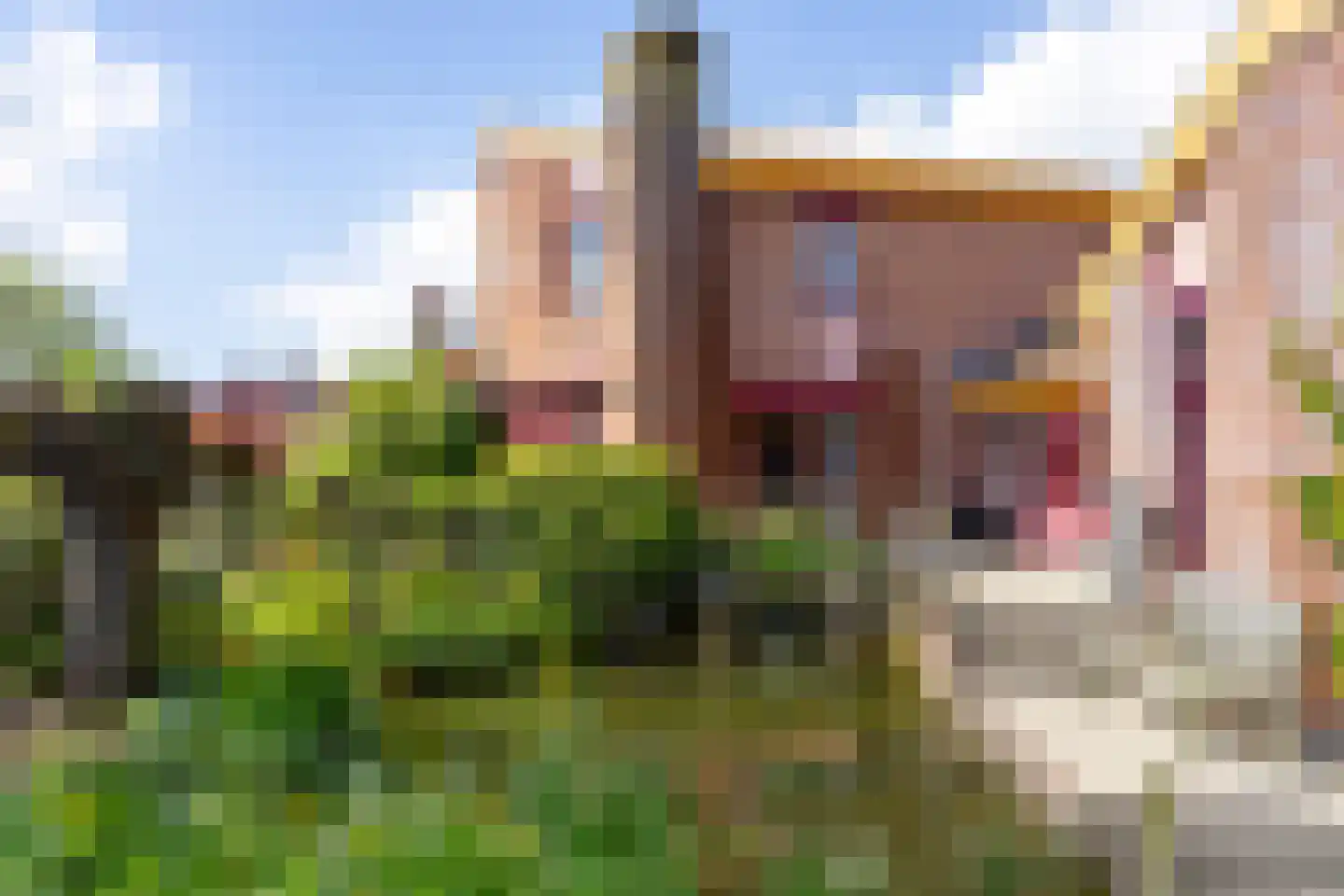 Knobbelzwaan 4 Hardinxveld-Giessendam thumbnail 43