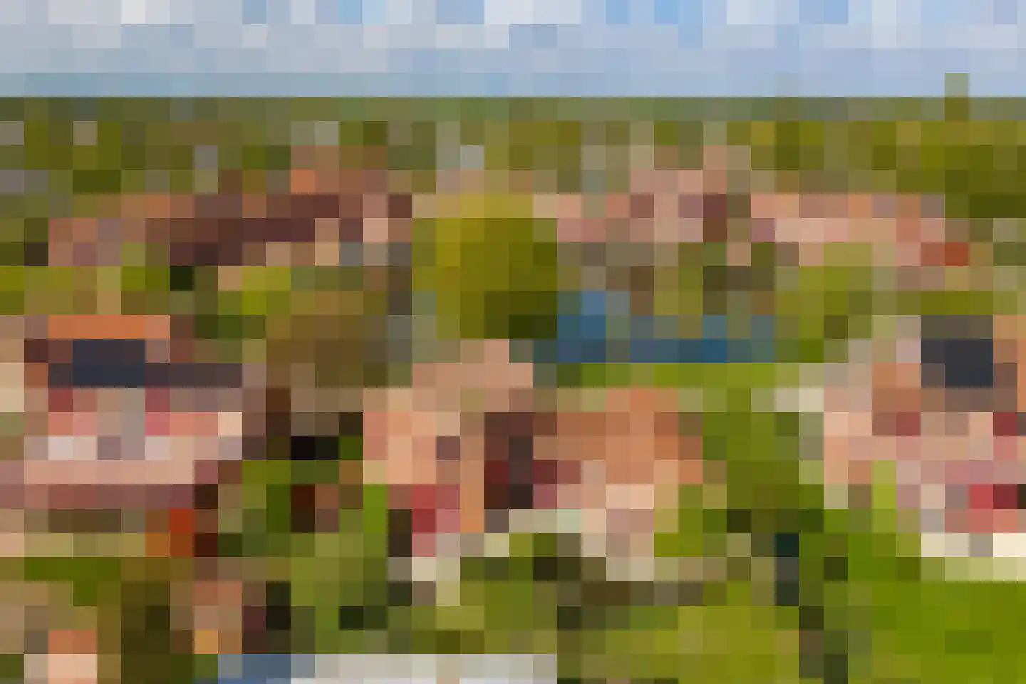 Knobbelzwaan 4 Hardinxveld-Giessendam thumbnail 45