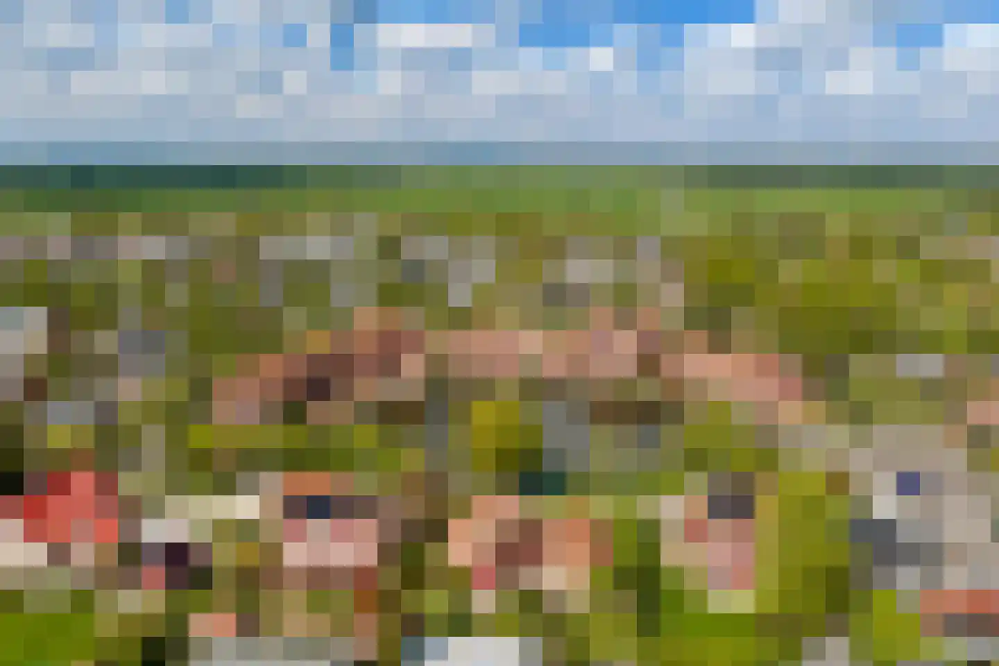 Knobbelzwaan 4 Hardinxveld-Giessendam thumbnail 46