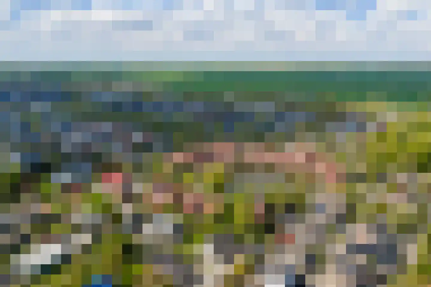 Knobbelzwaan 4 Hardinxveld-Giessendam thumbnail 47