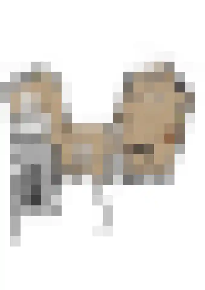 Knobbelzwaan 4 Hardinxveld-Giessendam thumbnail 48