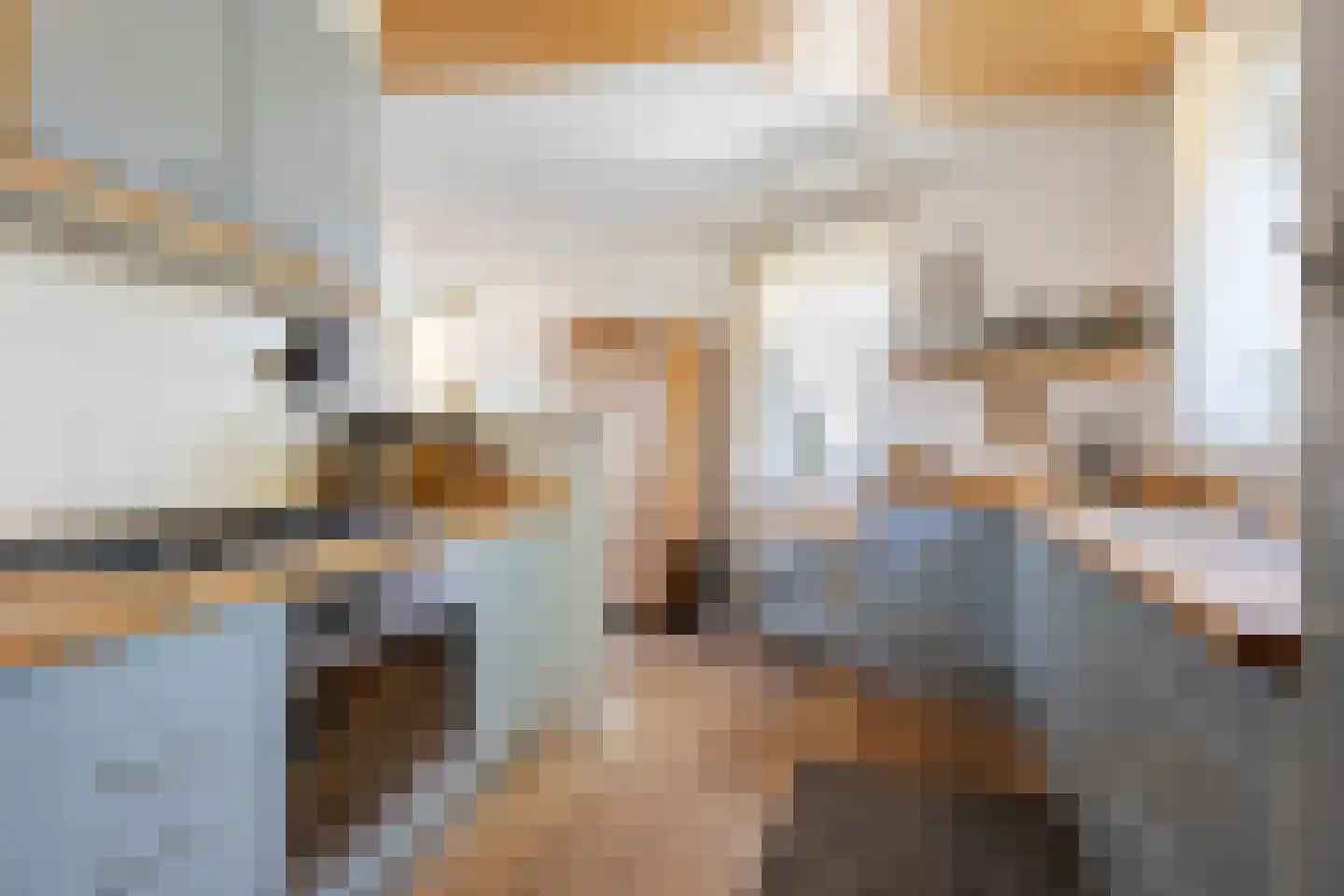 Knobbelzwaan 4 Hardinxveld-Giessendam thumbnail 8