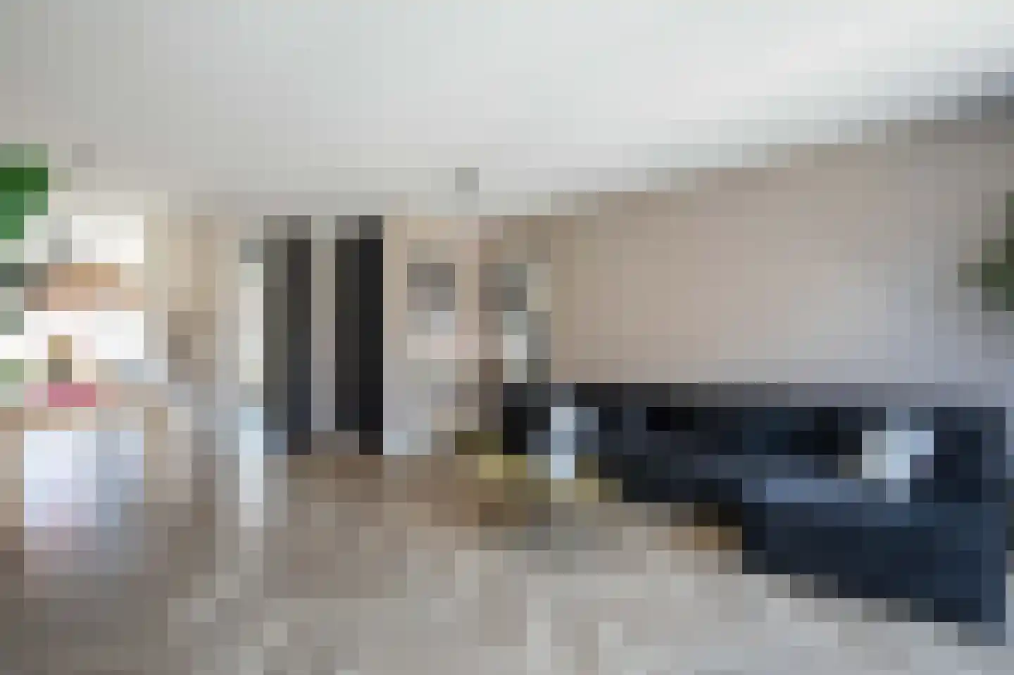Knobbelzwaan 64 Uithoorn thumbnail 10
