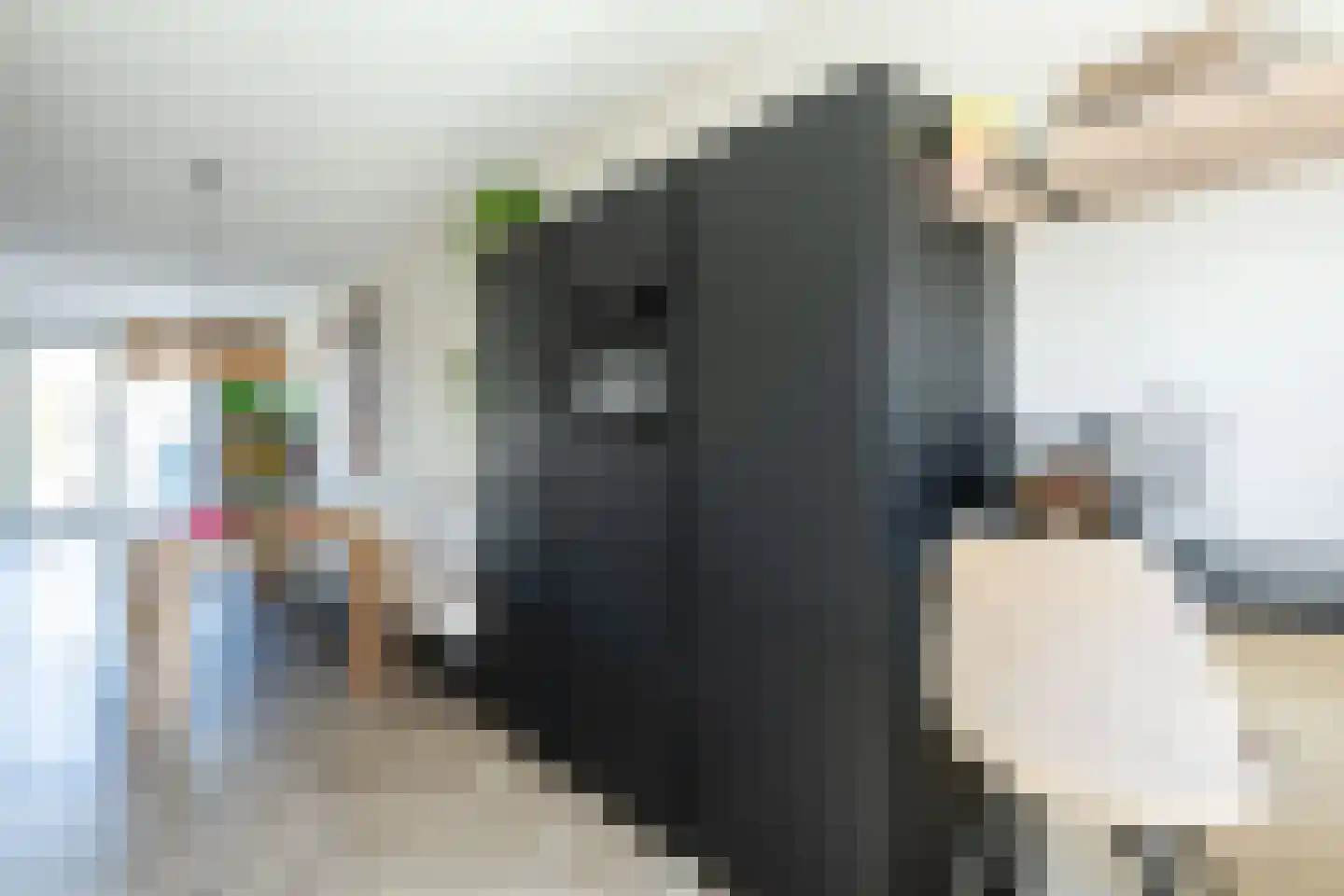 Knobbelzwaan 64 Uithoorn thumbnail 14