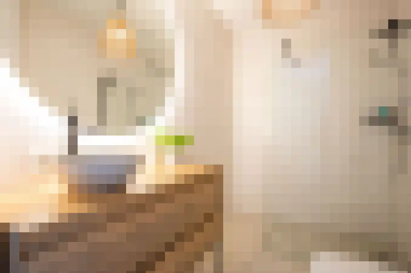 Knobbelzwaan 64 Uithoorn thumbnail 21