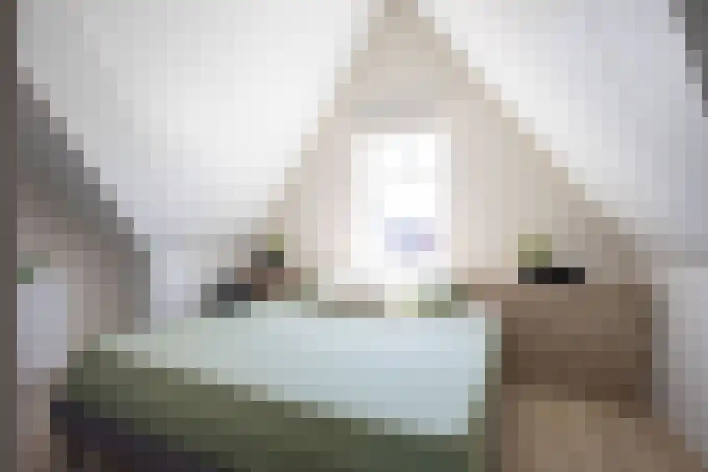 Knobbelzwaan 64 Uithoorn thumbnail 23