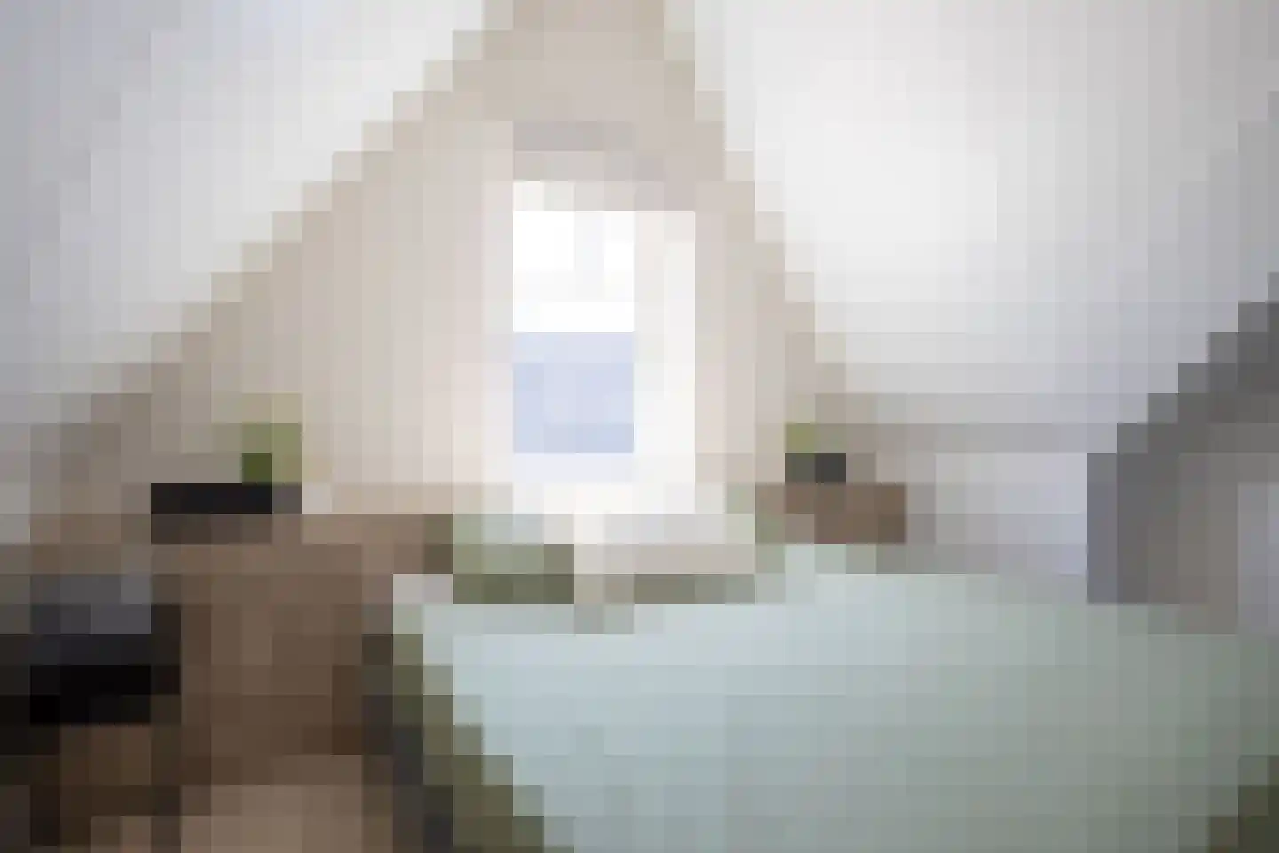 Knobbelzwaan 64 Uithoorn thumbnail 24