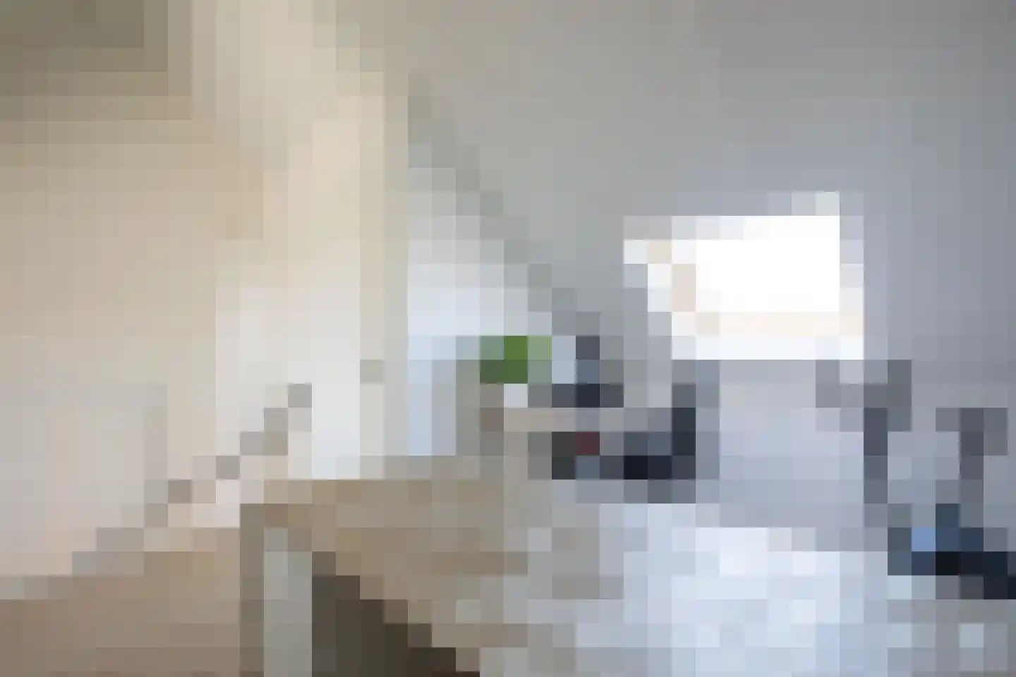 Knobbelzwaan 64 Uithoorn thumbnail 26