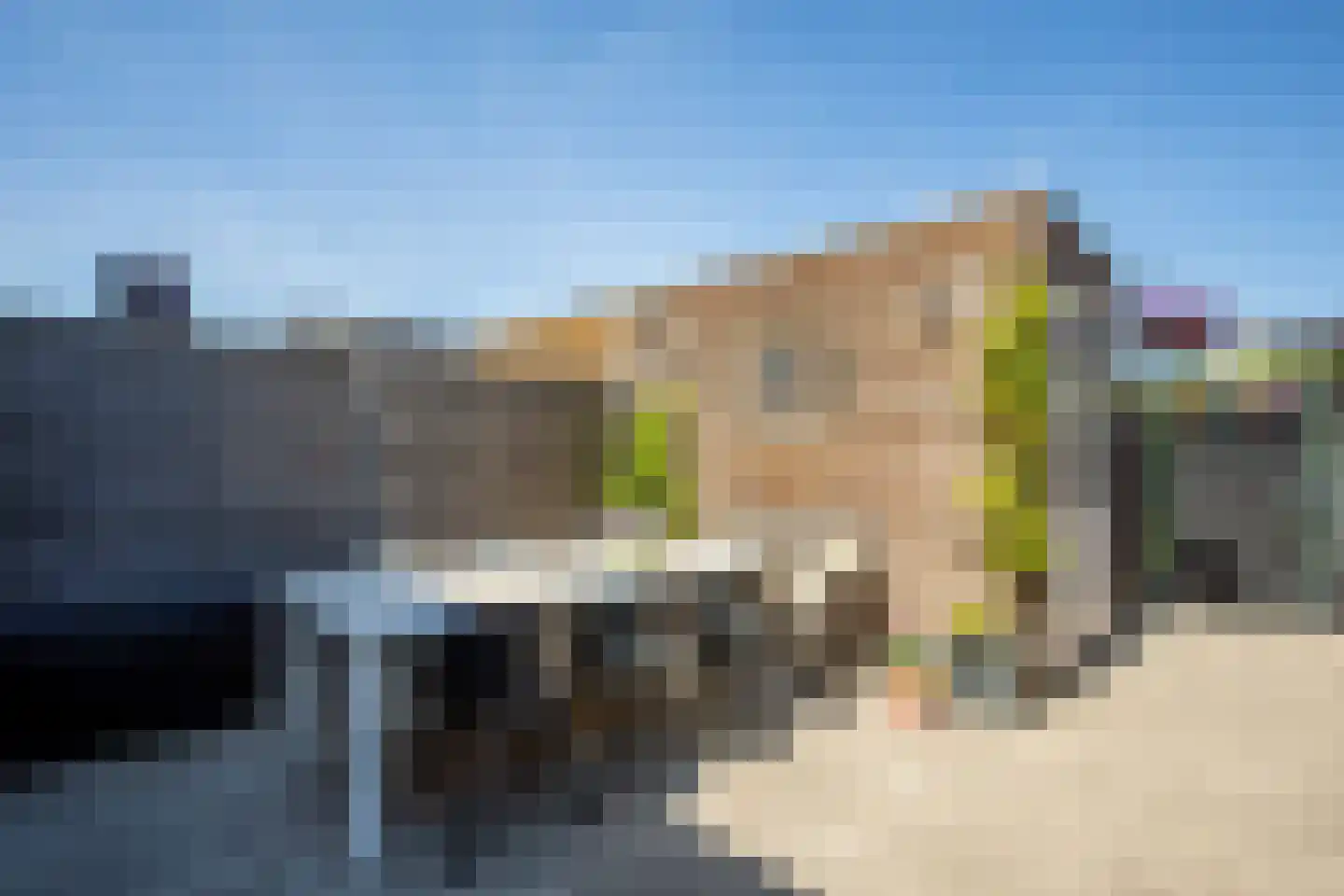 Knobbelzwaan 64 Uithoorn thumbnail 28