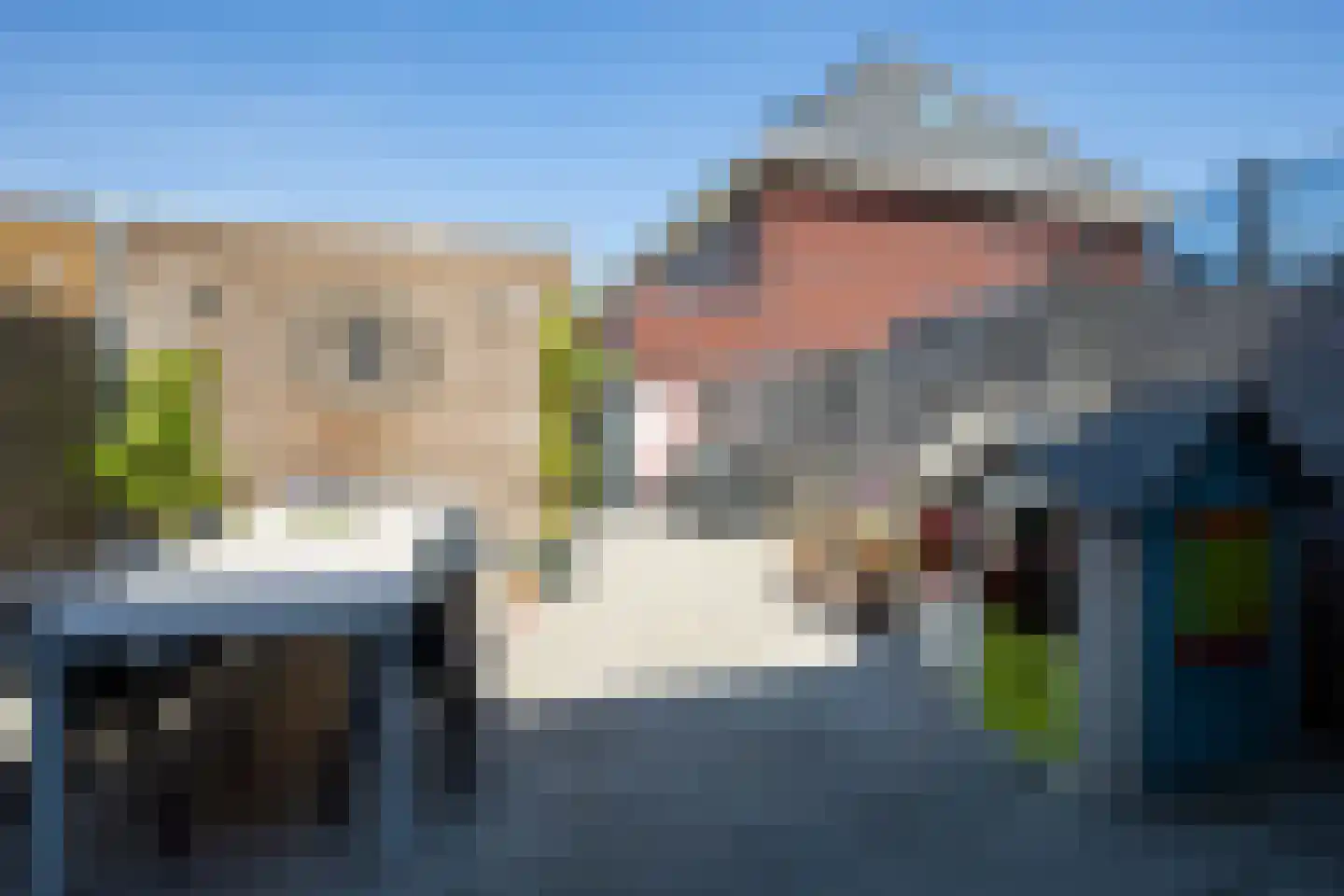 Knobbelzwaan 64 Uithoorn thumbnail 29