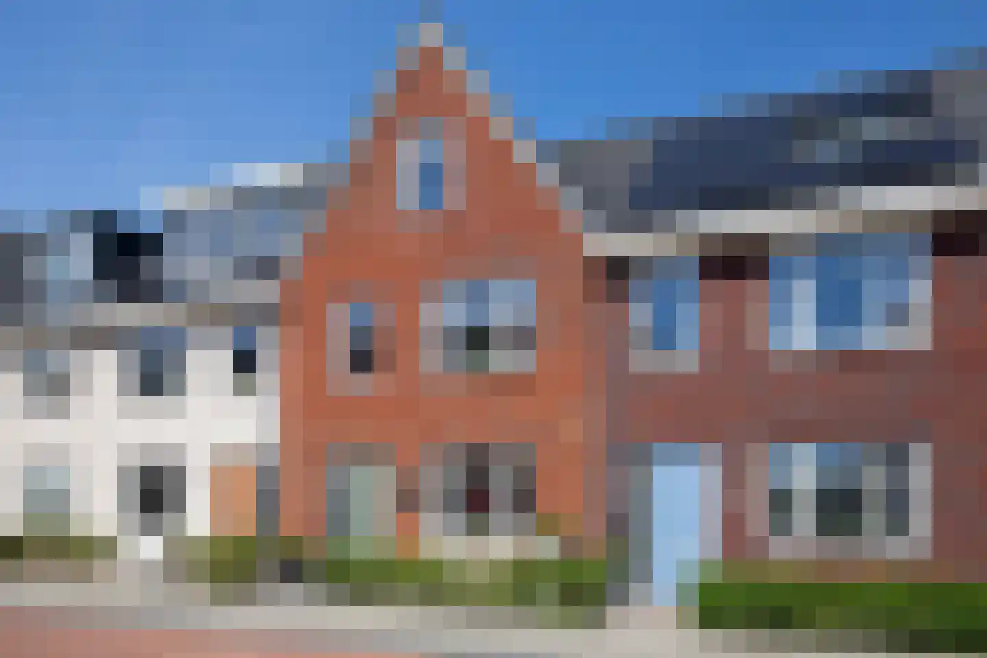 Knobbelzwaan 64 Uithoorn thumbnail 31