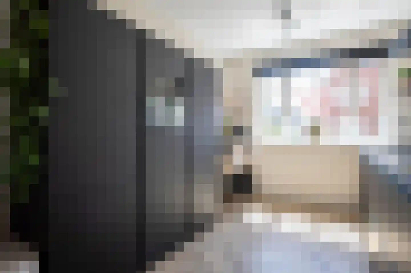 Knobbelzwaan 64 Uithoorn thumbnail 4