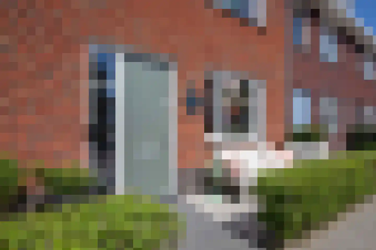 Knobbelzwaan 64 Uithoorn thumbnail 5