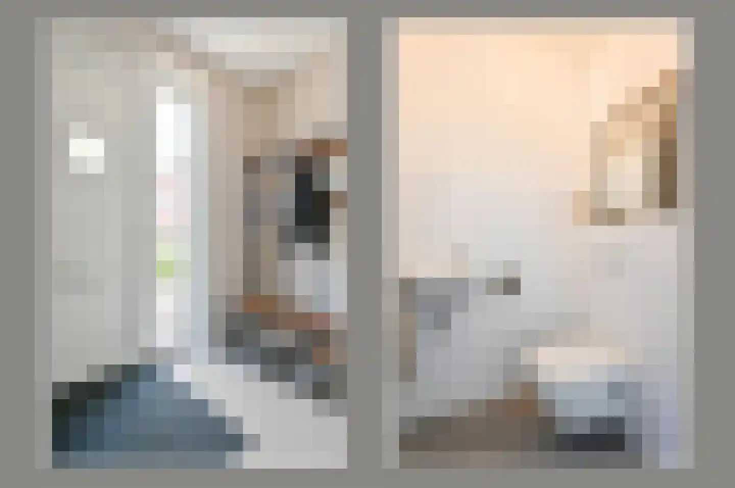 Knobbelzwaan 7 Uithoorn thumbnail 10