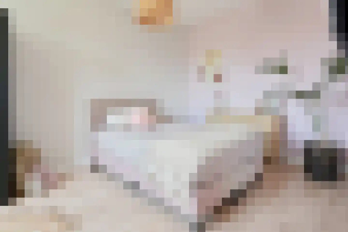 Knobbelzwaan 7 Uithoorn thumbnail 14