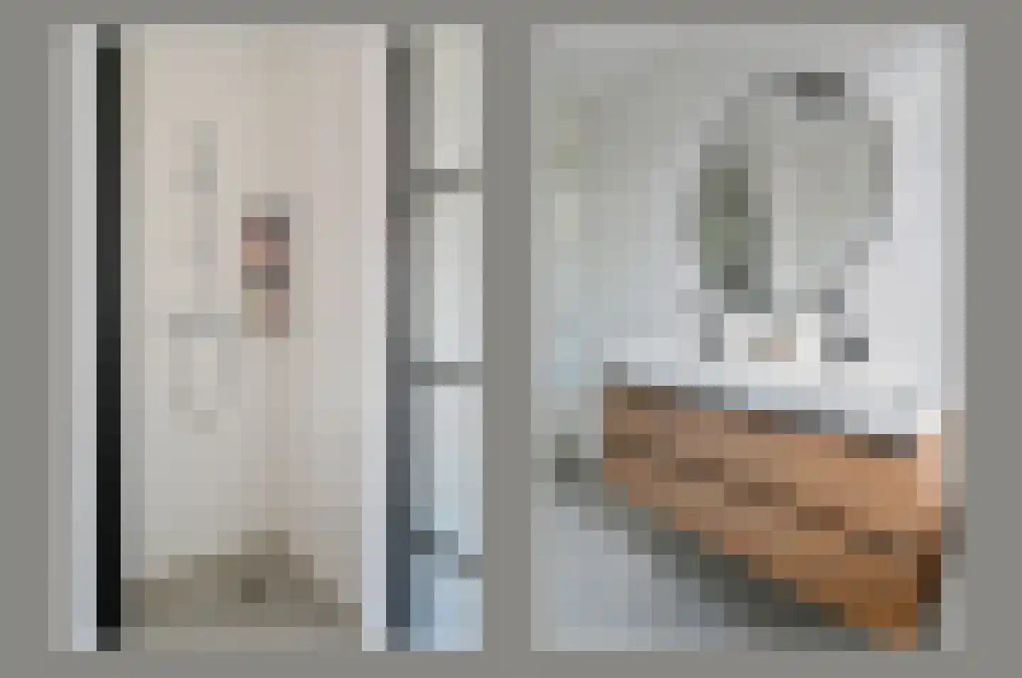 Knobbelzwaan 7 Uithoorn thumbnail 18