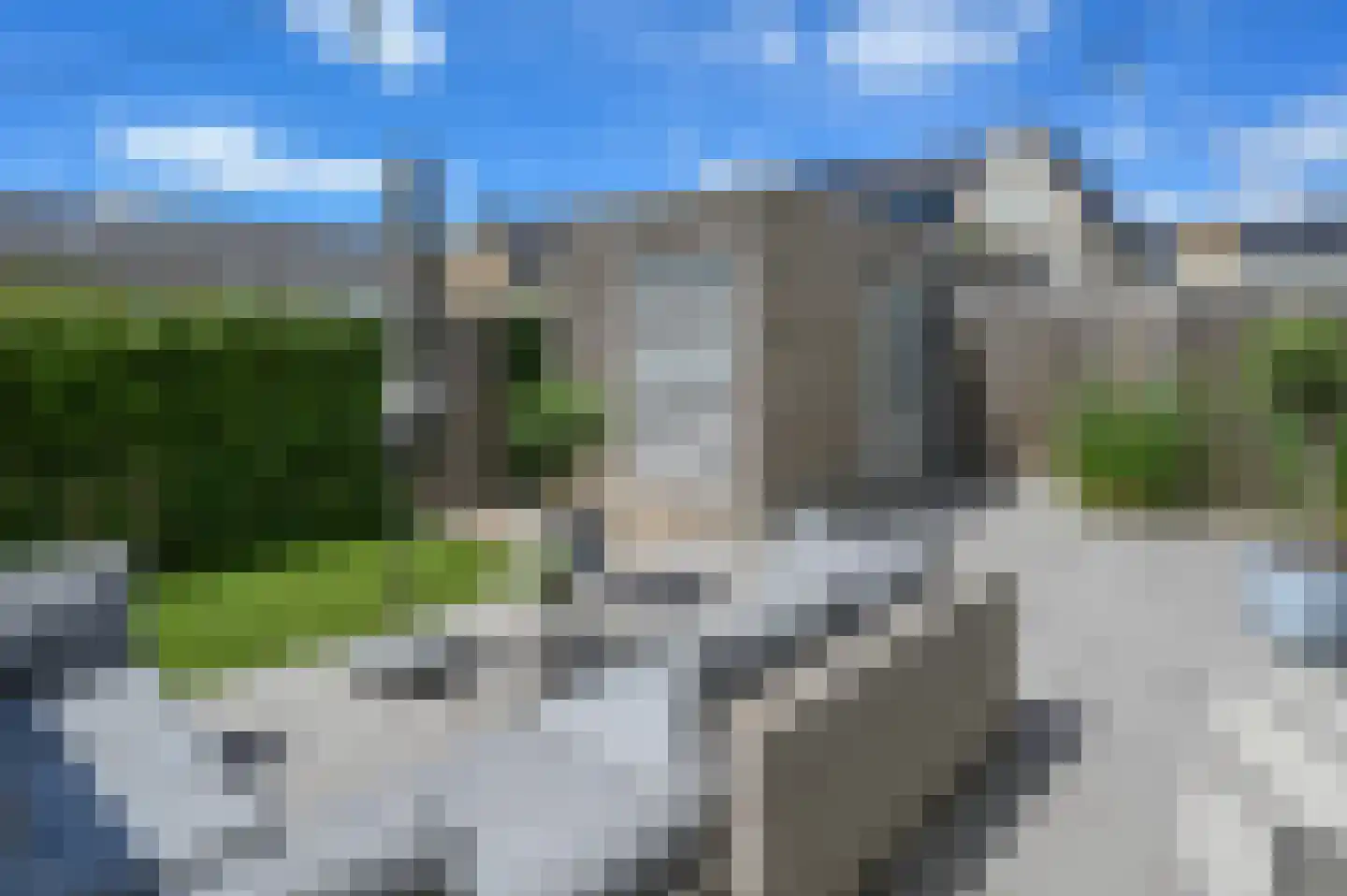 Knobbelzwaan 7 Uithoorn thumbnail 22