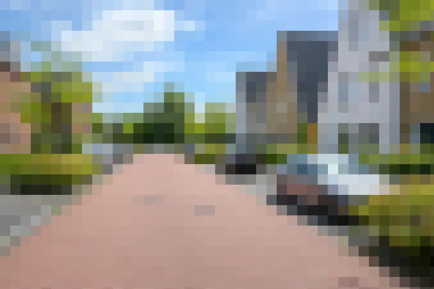 Knobbelzwaan 7 Uithoorn thumbnail 27