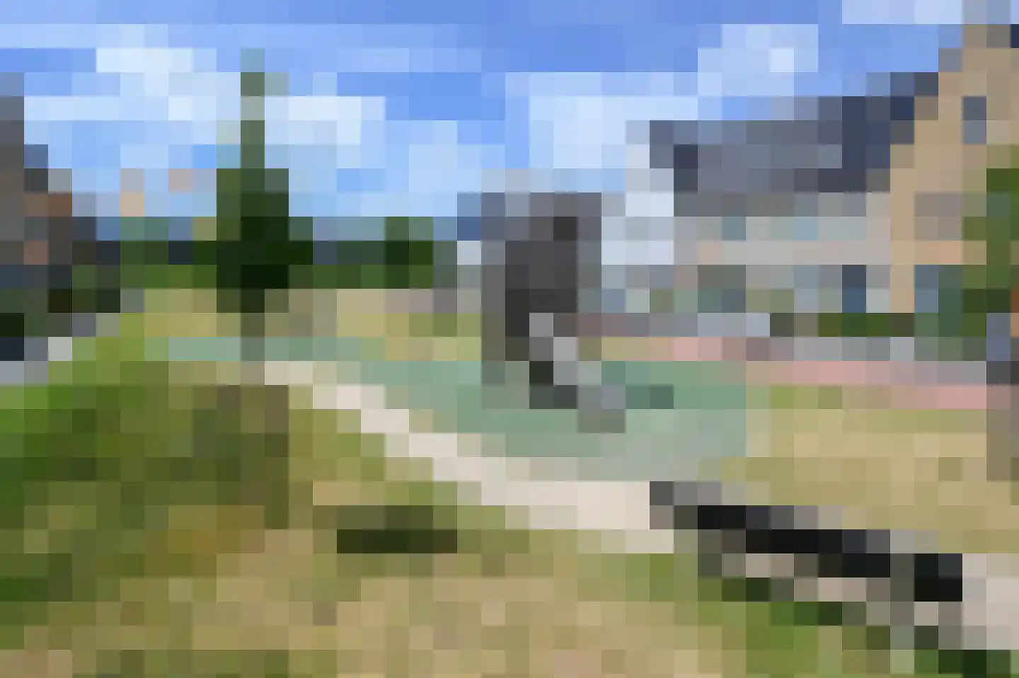 Knobbelzwaan 7 Uithoorn thumbnail 28