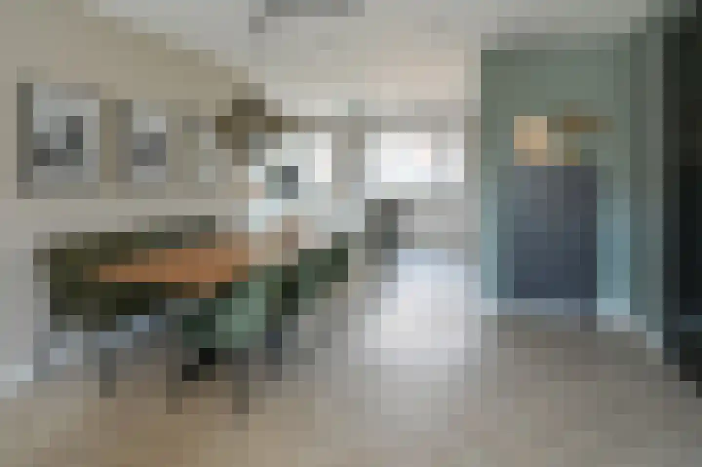Knobbelzwaan 7 Uithoorn foto 3