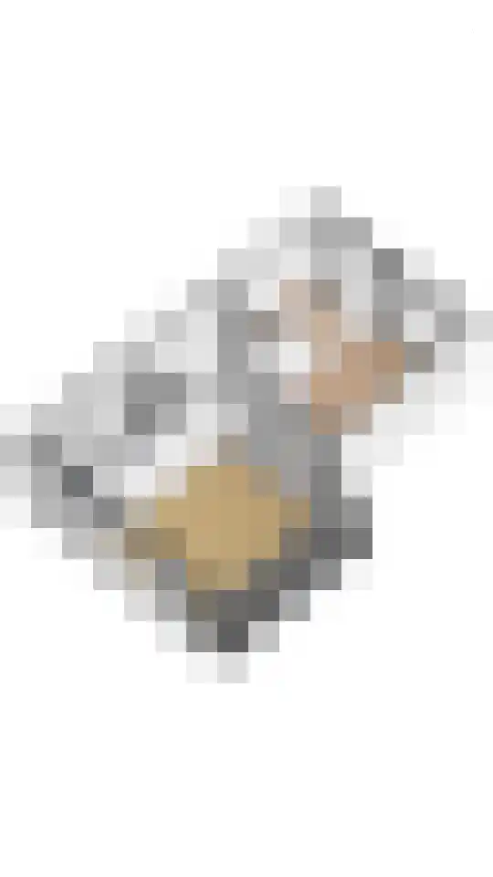 Knobbelzwaan 7 Uithoorn thumbnail 32