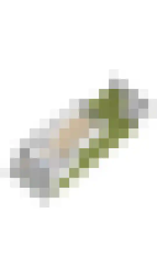 Knobbelzwaan 7 Uithoorn thumbnail 36
